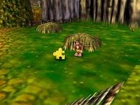une photo d'Ã©cran de Banjo-Kazooie sur Nintendo 64